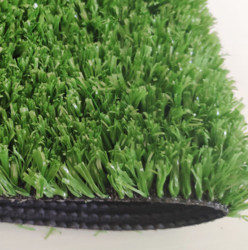 LEISURE GRASS