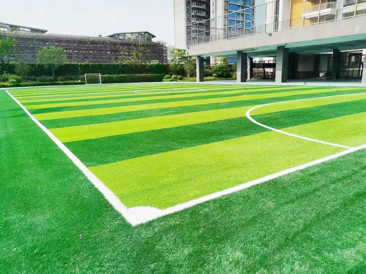 fooball grass