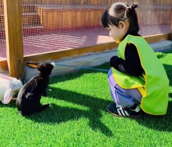 Is Artificial Grass Safe?