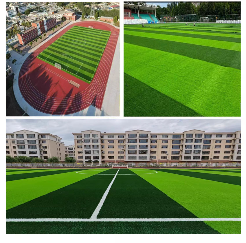 8252副本1.jpg